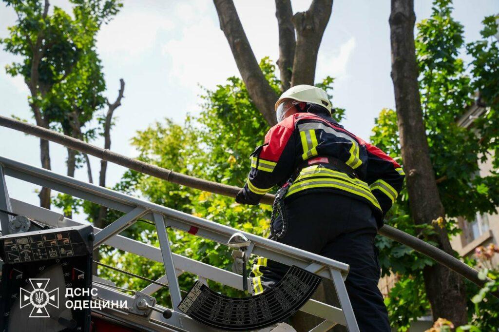 В Одесі гасили пожежу в житловому будинку: врятовано літню жінку та евакуйовано 5 людей