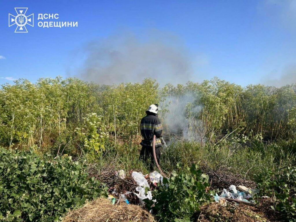 Двоє людей постраждали під час самостійного гасіння пожеж на відкритих територіях на Одещині