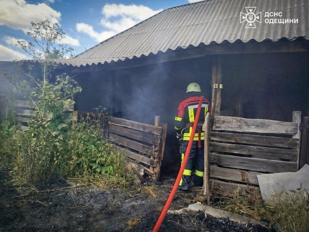 Пожежі в екосистемах завдали шкоди екології Одещини на 23 мільярди гривень