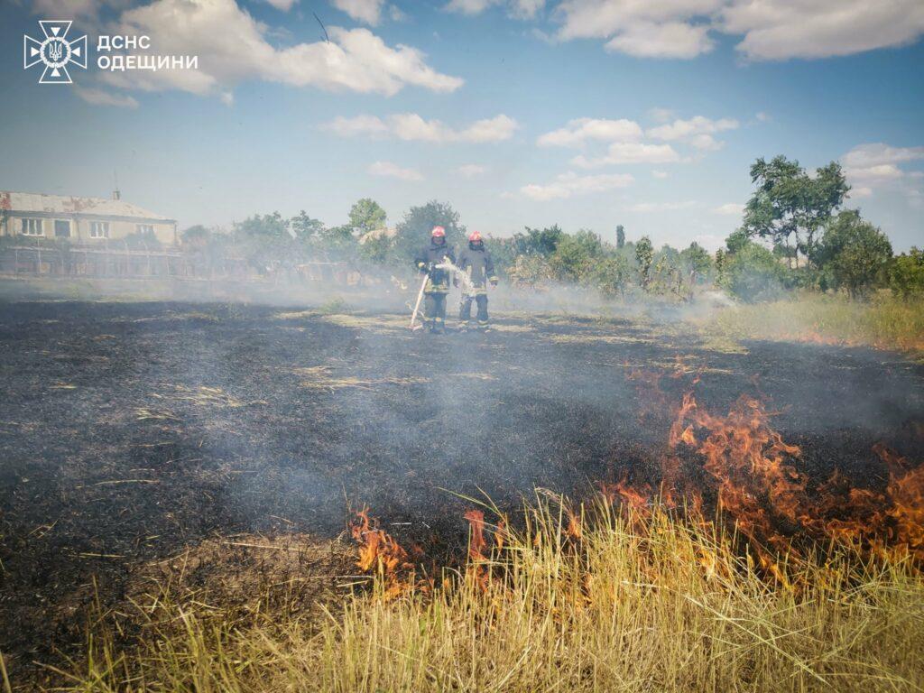 Пожежі в екосистемах завдали шкоди екології Одещини на 23 мільярди гривень