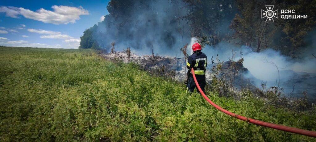 Пожежі в екосистемах завдали шкоди екології Одещини на 23 мільярди гривень
