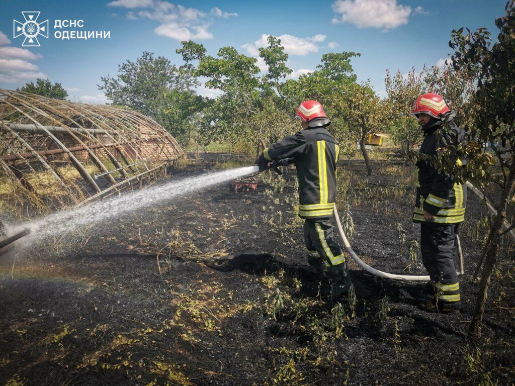 Пожежі в екосистемах завдали шкоди екології Одещини на 23 мільярди гривень