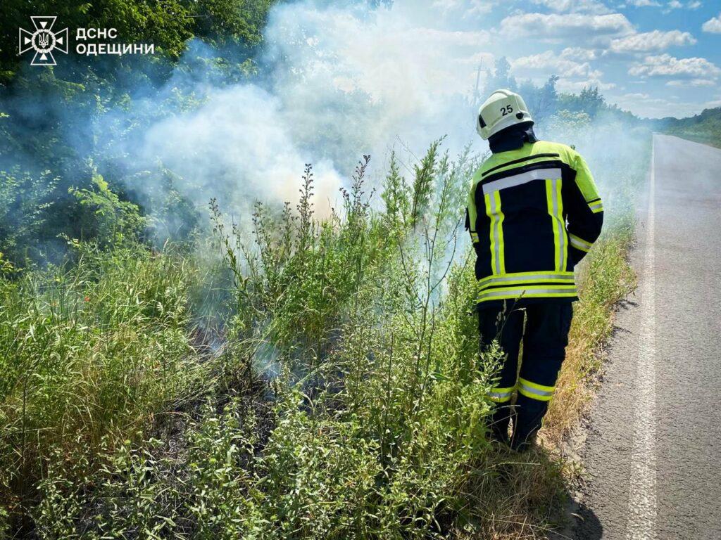 Пожежі в екосистемах завдали шкоди екології Одещини на 23 мільярди гривень
