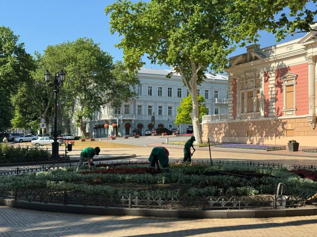 Майже 15 тисяч літніх квітів прикрасять клумбу на Біржовій площі в Одесі