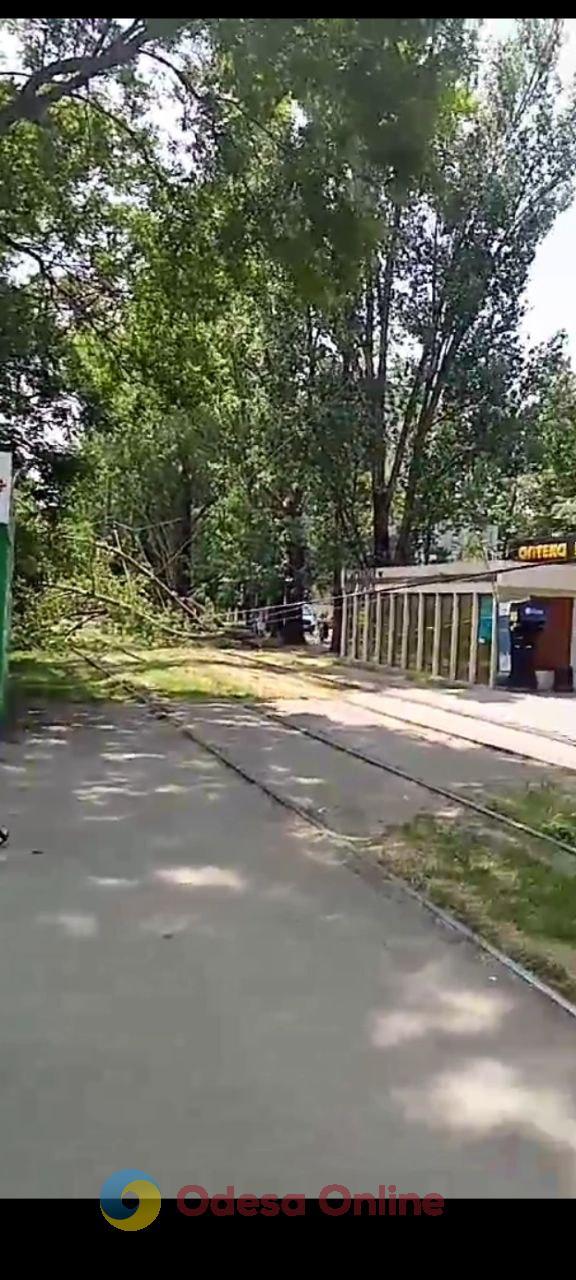 В Одесі на селищі Котовського велика гілка впала на трамвайні колії