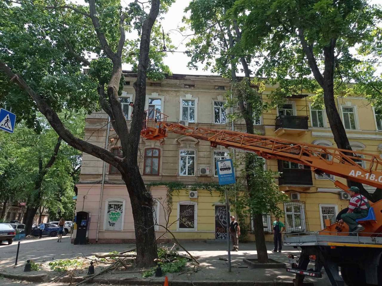 В Одесі сильний вітер повалив дерева та гілки (фото)