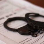 Жителю Одесской области сообщили о подозрении в сексуальном насилии над собакой