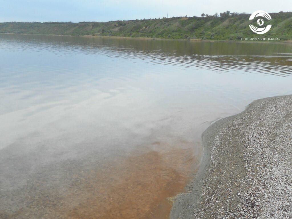 Лиман на Одещині став рожевим – у ньому цвітуть водорості