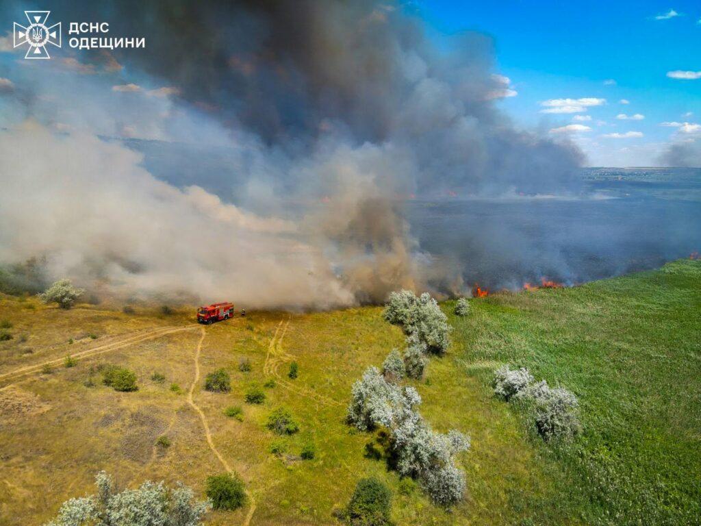 В Одесской области горит сухая растительность: под угрозой частный сектор (фото)