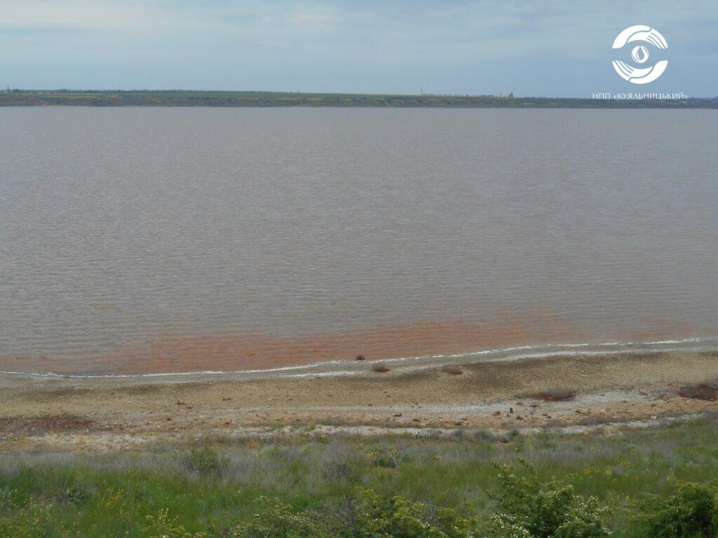 Лиман на Одещині став рожевим – у ньому цвітуть водорості