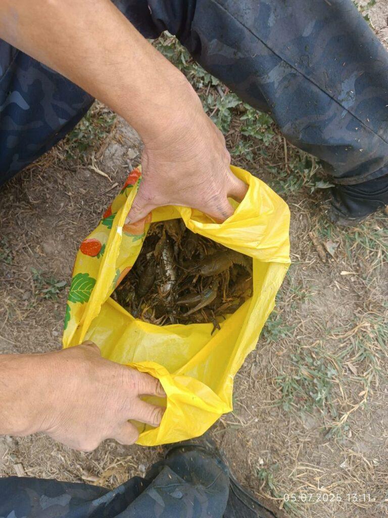 На Одещині спіймали браконьєра: рибалка завдав збитків на 143 тисячі гривень