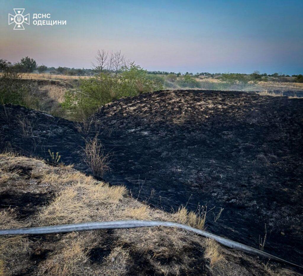 Возгорание сухой растительности в Одесской области: за сутки на пожарах пострадали шесть человек