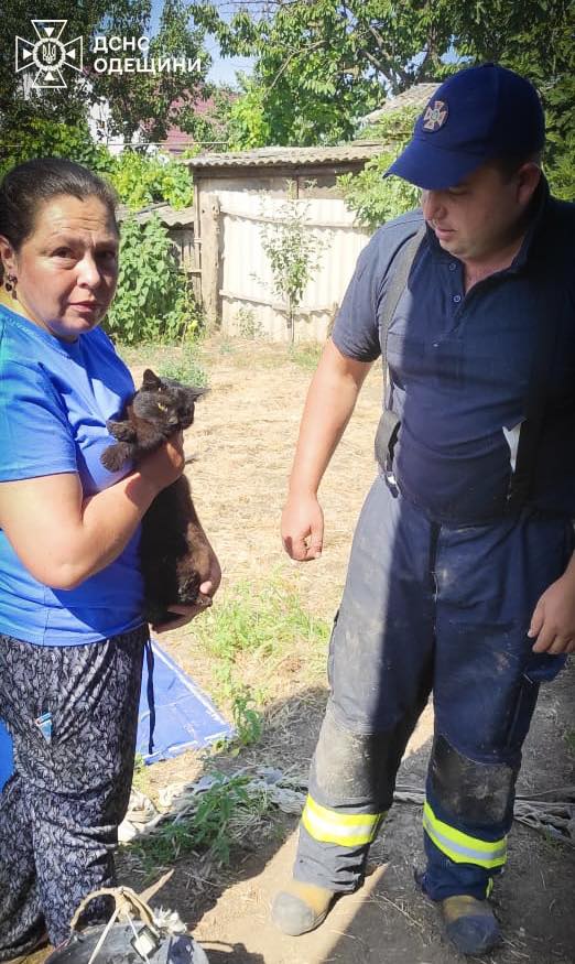 Коты упали в колодцы: пожарные спасли двух животных в Одессе и Измаиле
