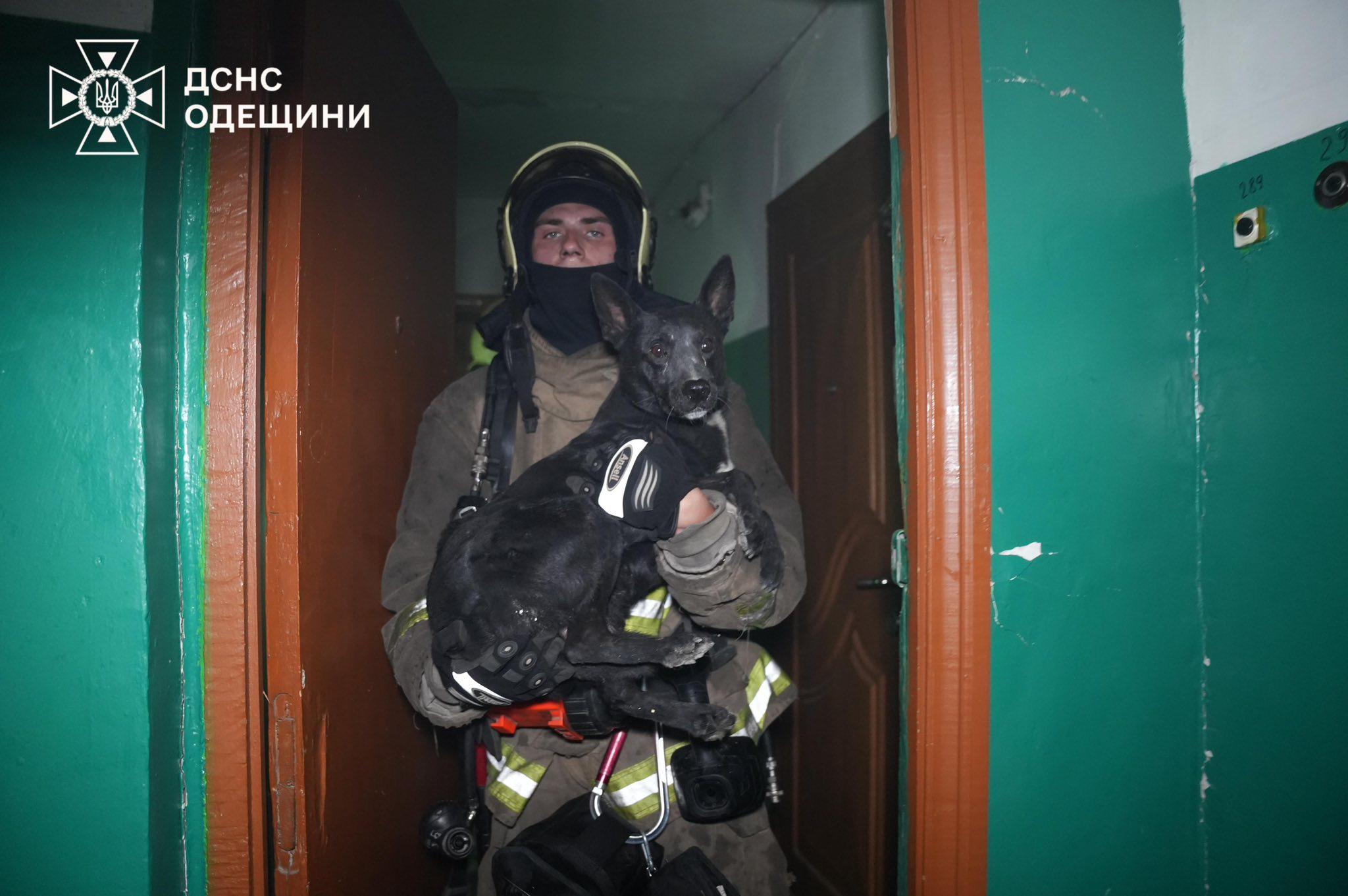 Рятувальники показали наслідки нічної дронової атаки РФ по Одесі (фото, відео)