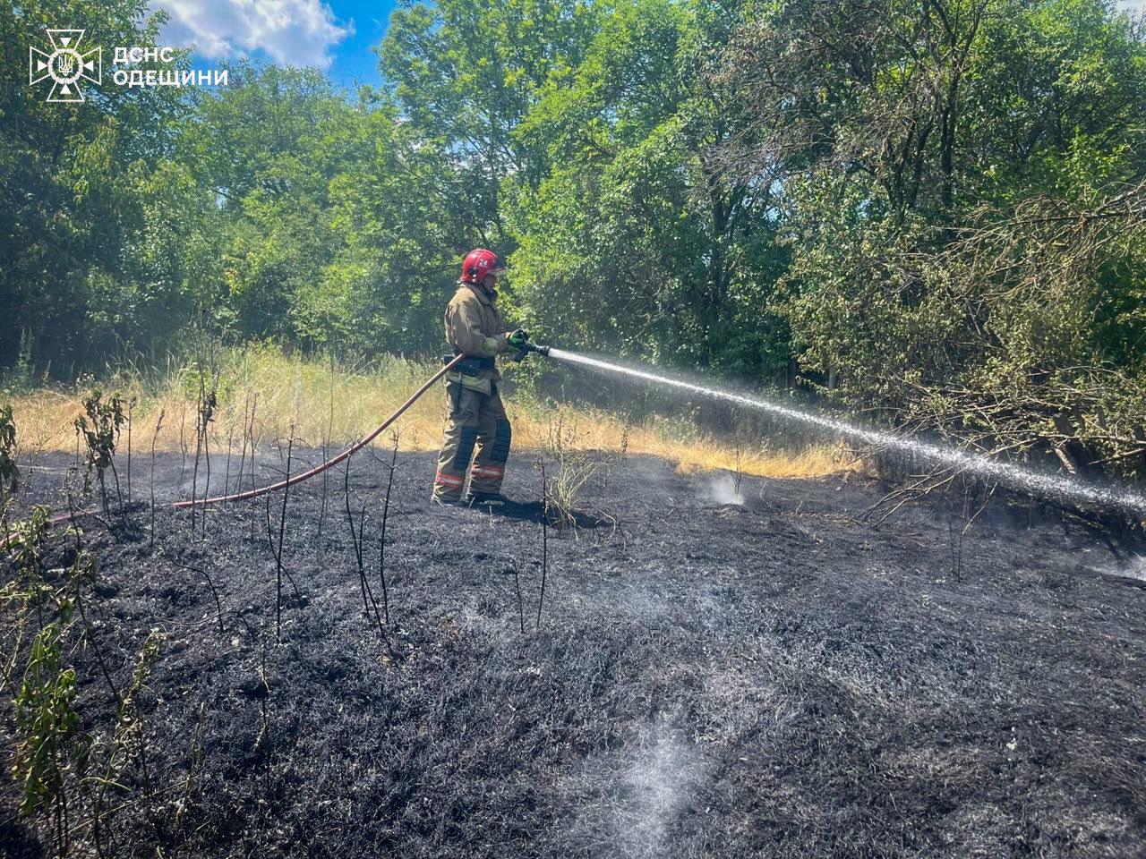 В Одесской области за неделю выгорело 200 гектаров земли (фото)