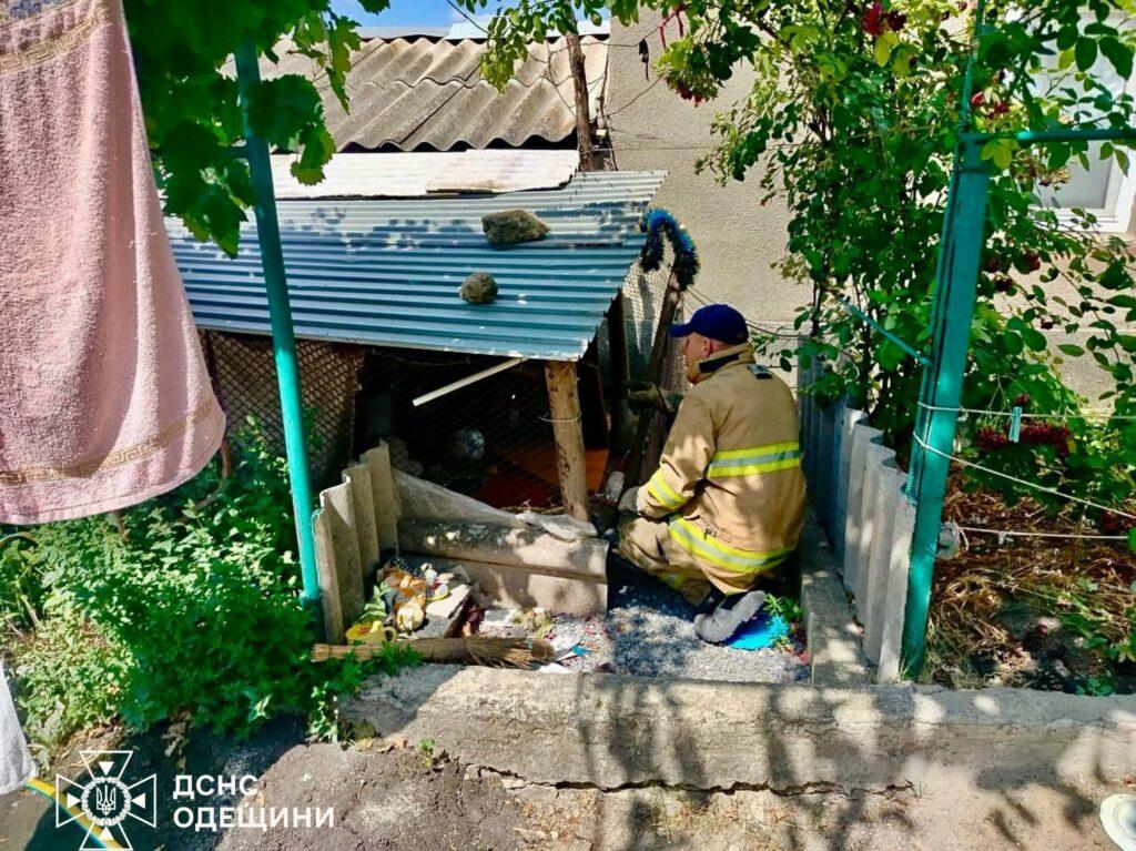 Змея заползла в жилой дом: в Одесской области спасали рептилию