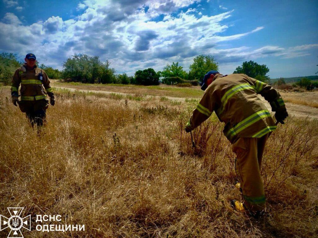 Змея заползла в жилой дом: в Одесской области спасали рептилию