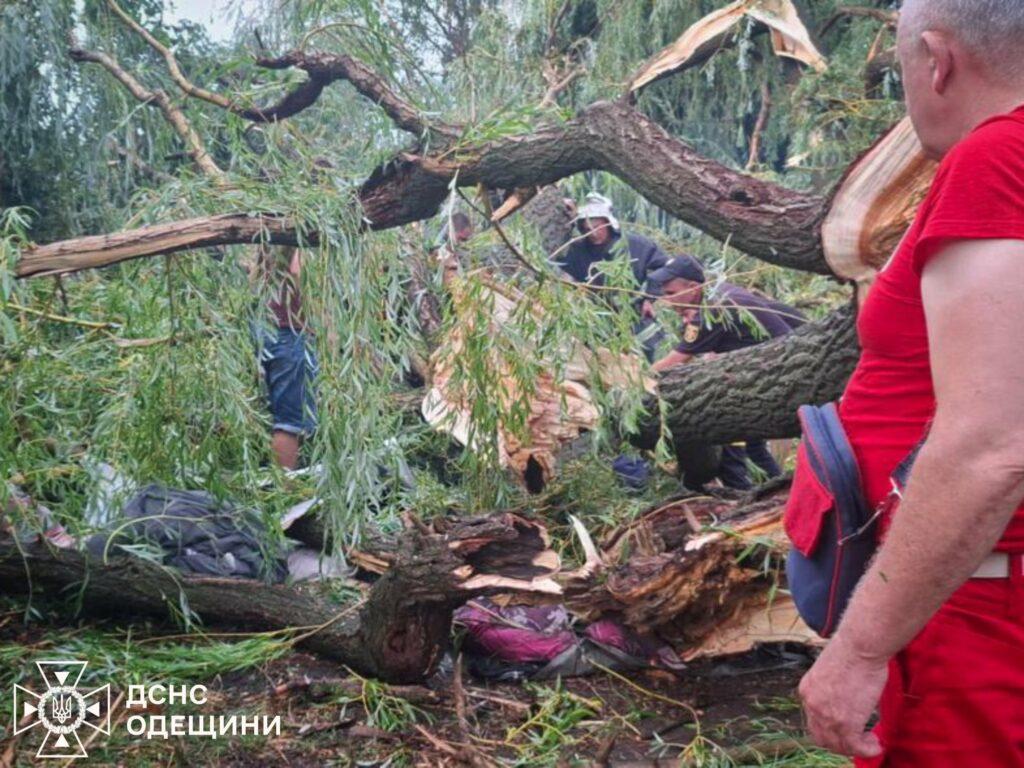 В результате непогоды в Одесской области погиб подросток: еще четверо детей травмированы