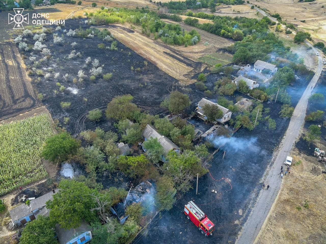 В Одесской области за неделю произошло более 350 пожаров в экосистемах (фото)