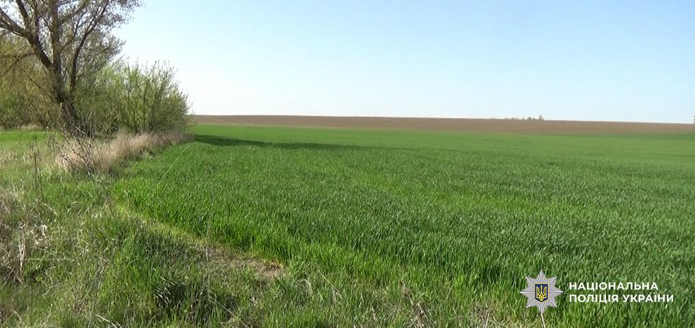 На Одещині чоловік самовільно засіяв 11 гектарів у прибережній зоні Південного Бугу