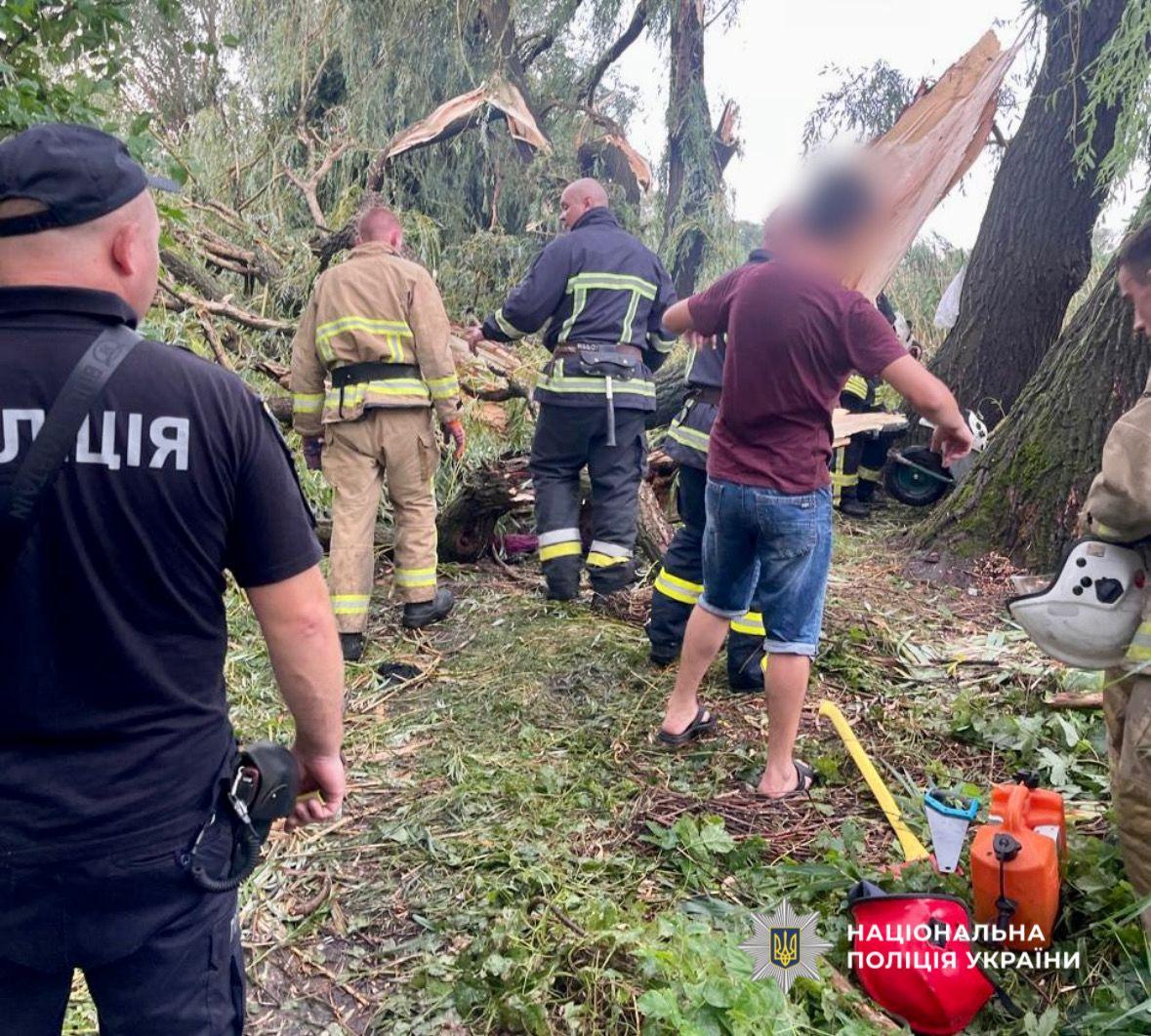 Смерть підлітка через падіння дерева на Одещині: поліція розслідує обставини трагедії