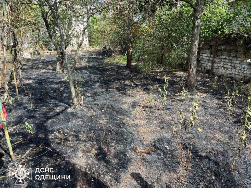 На Одещині через загоряння сухої трави у дворі постраждала людина