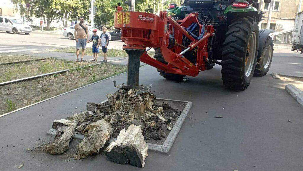 З початку року в Одесі викорчували понад 600 пнів