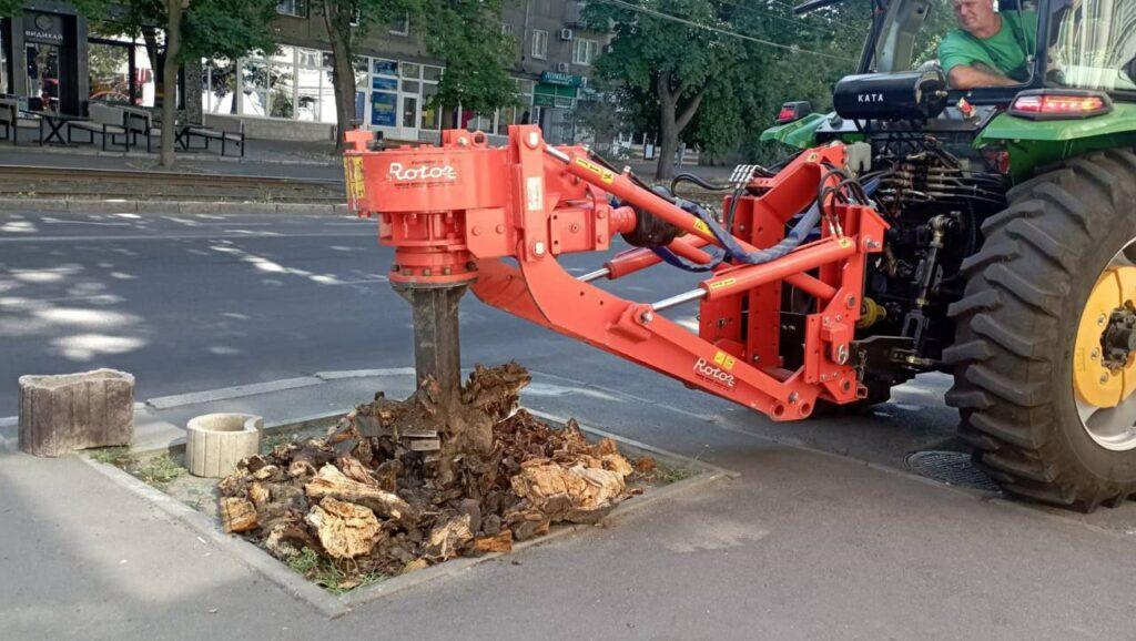 З початку року в Одесі викорчували понад 600 пнів