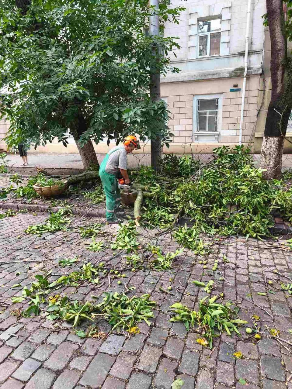 В Одесі штормовий вітер повалив дерева та великі гілки (фото)