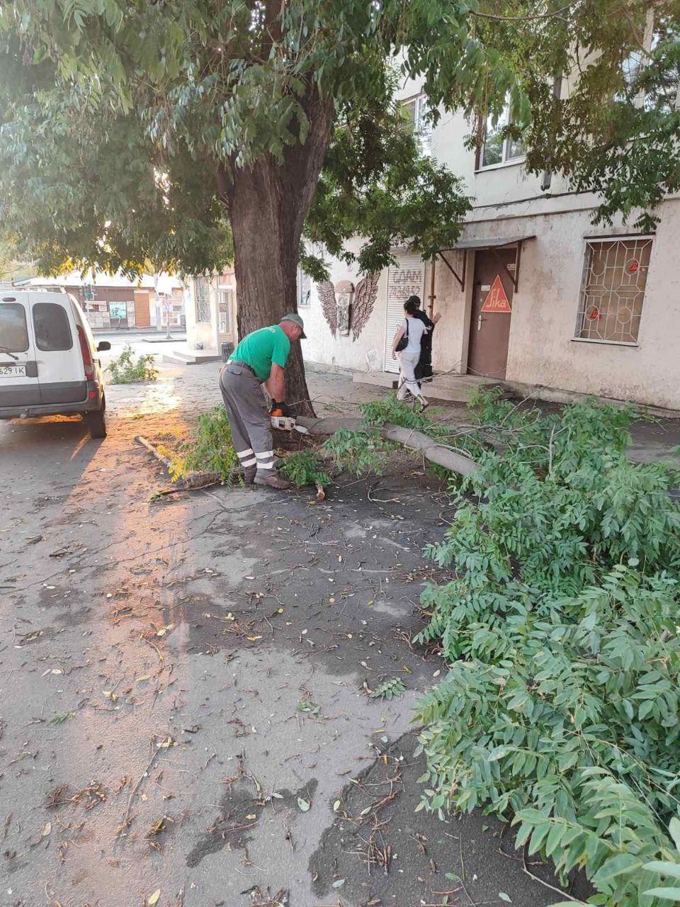 В Одесі штормовий вітер повалив дерева та великі гілки (фото)