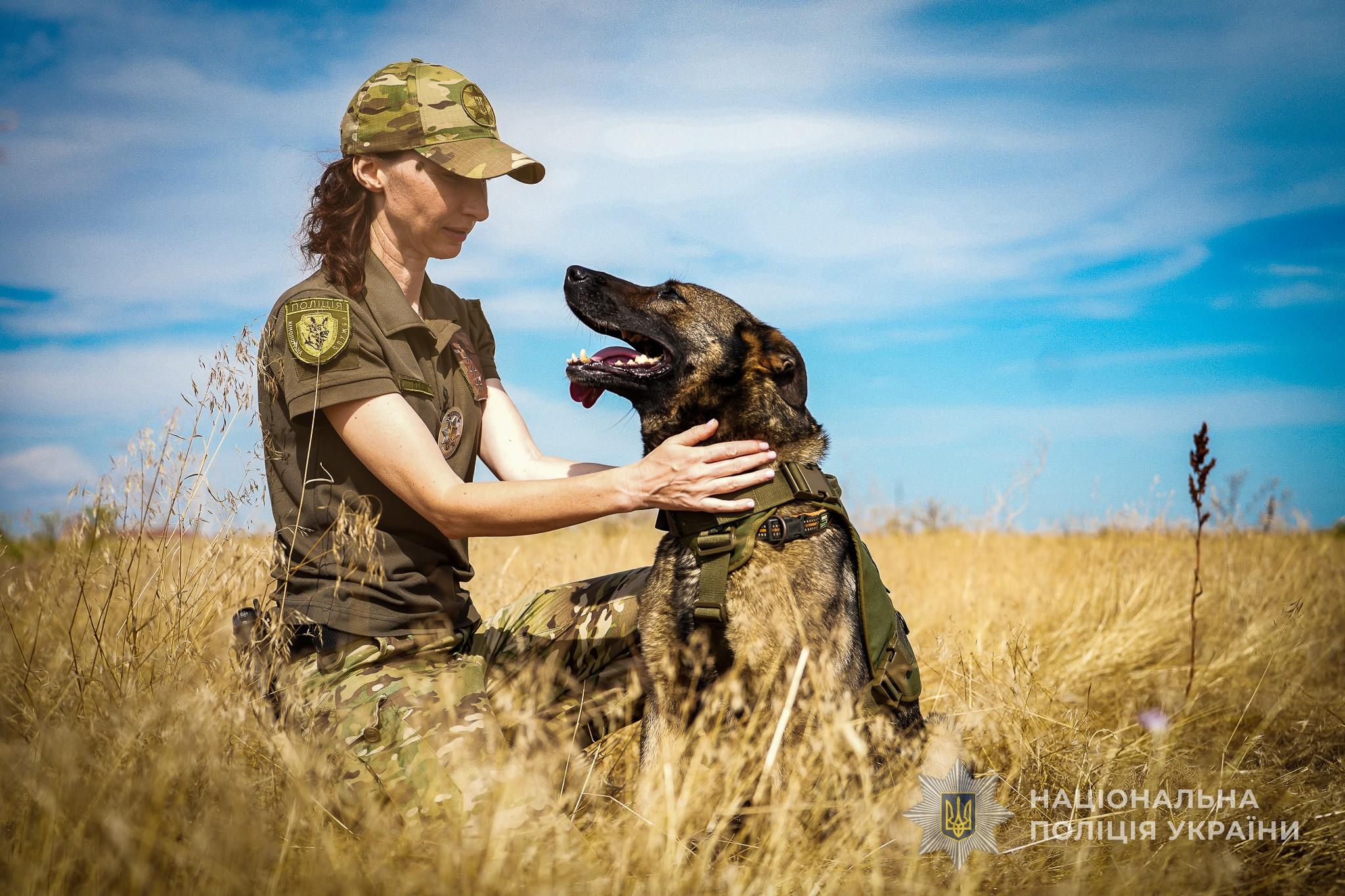 У полі під дощем: на Одещині службова вівчарка допомогла знайти зниклого пенсіонера