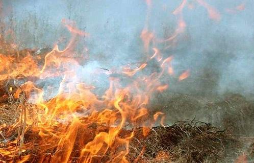 На Одещині під час пожежі загинув чоловік