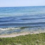 В Одессе грязное море — превышен уровень загрязняющих веществ в морской воде