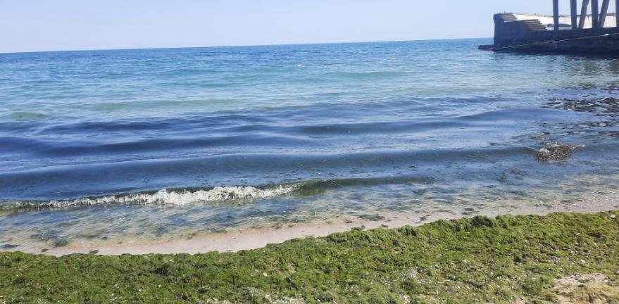 В Одессе грязное море — превышен уровень загрязняющих веществ в морской воде