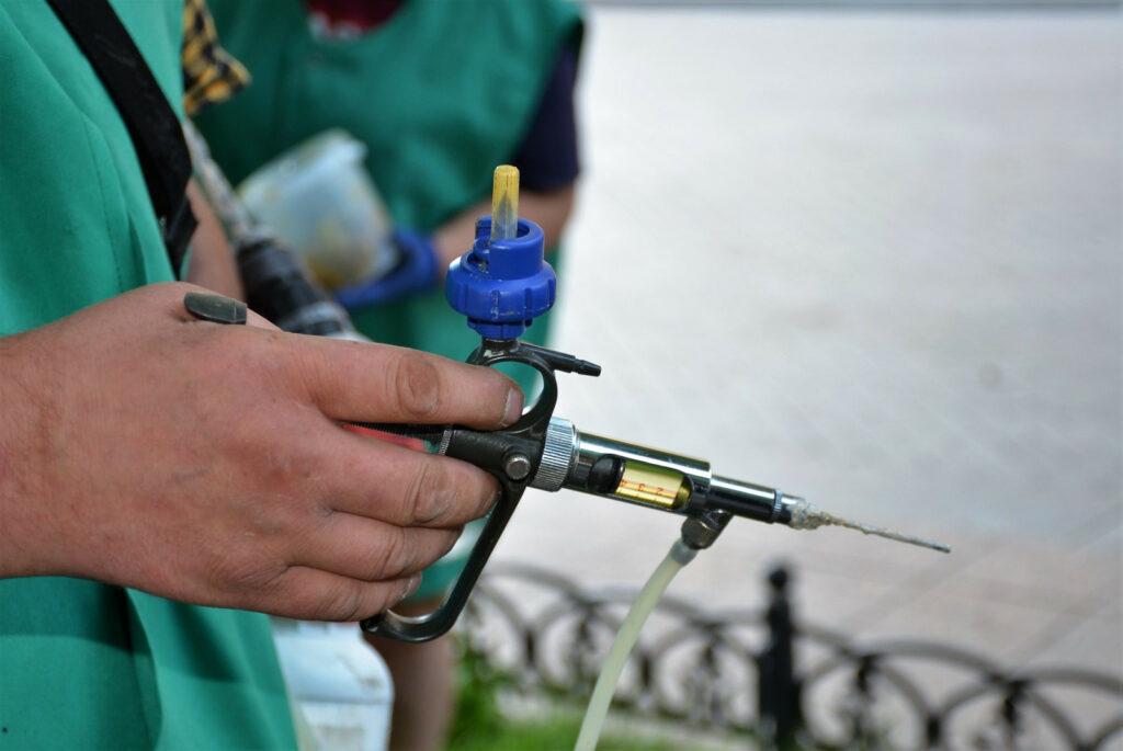 В Одесі близько 1000 каштанів вакцинували від шкідників