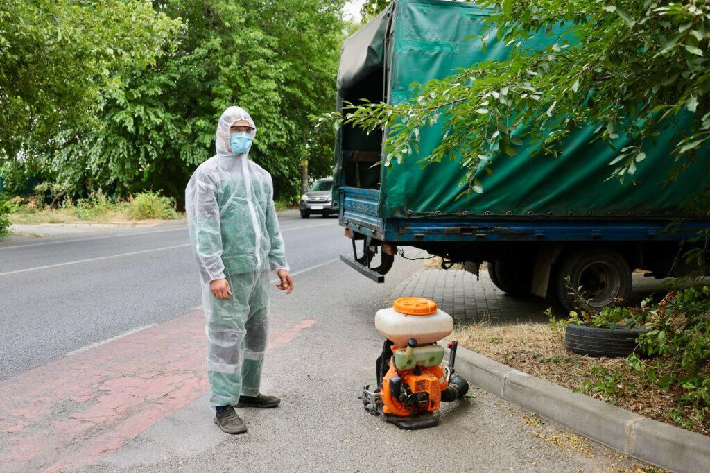 Борьба с амброзией: в Одессе уничтожают опасный сорняк