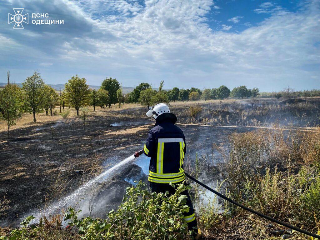 Пожежі на Одещині завдали екології збитків на 28 мільярдів гривень