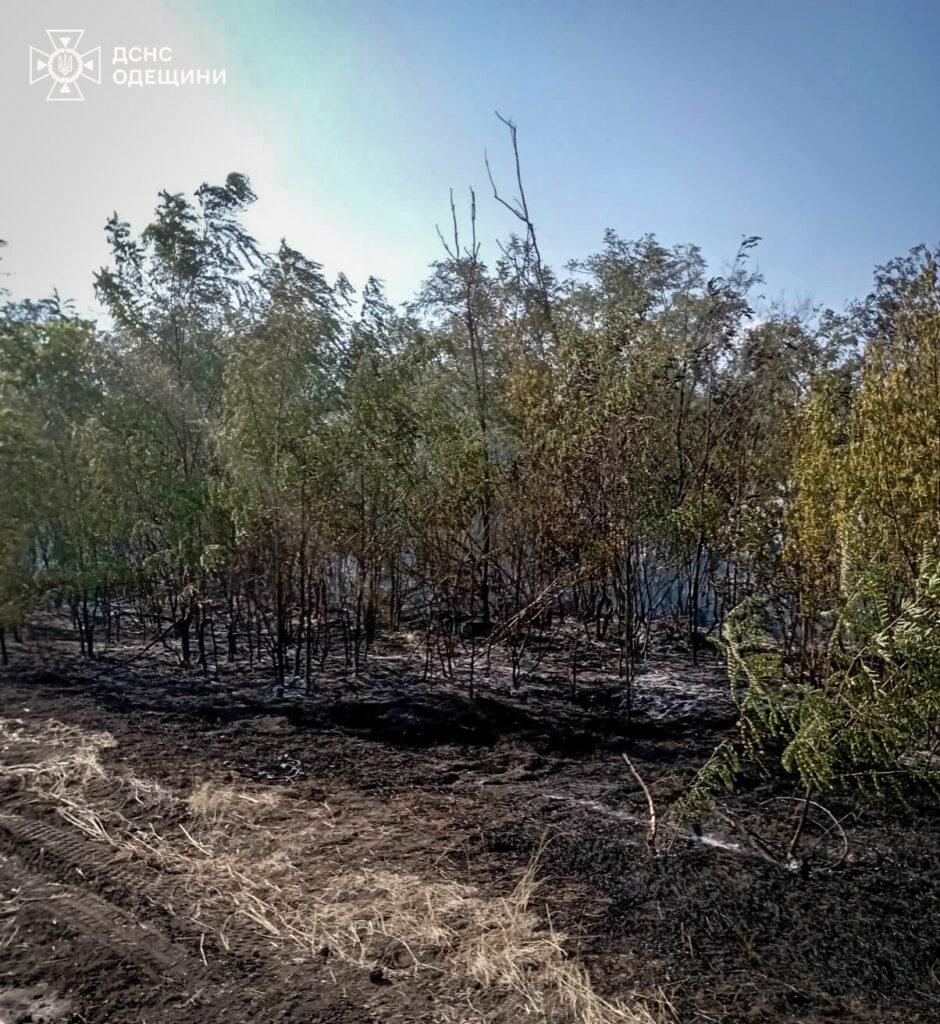 Пожежі на Одещині завдали екології збитків на 28 мільярдів гривень