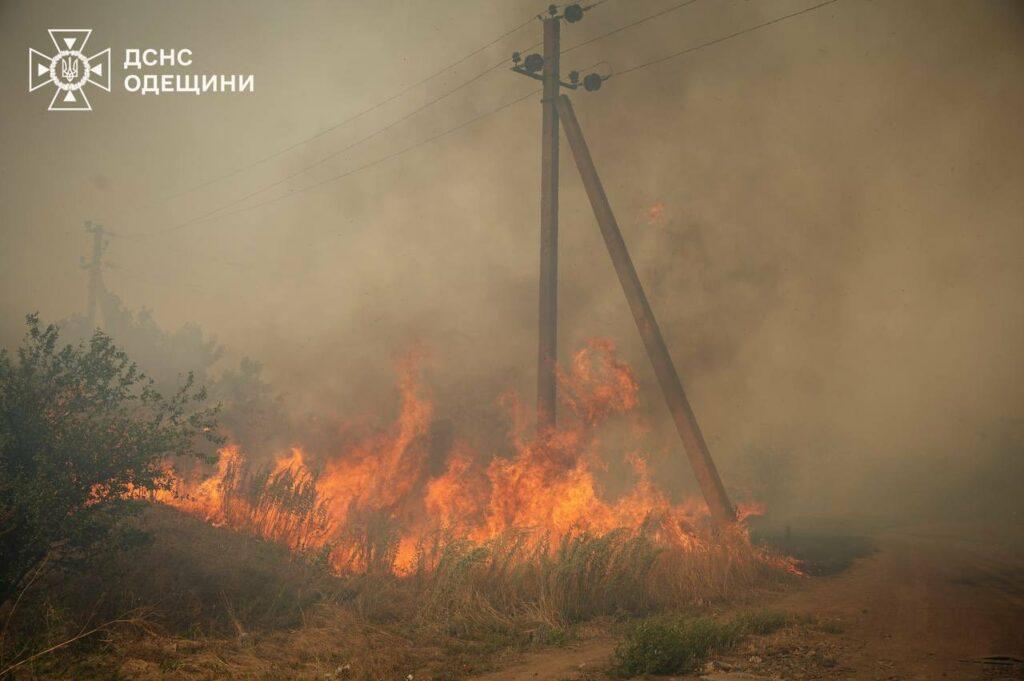 Вогнеборці декілька годин гасили масштабну пожежу в екосистемі під Одесою
