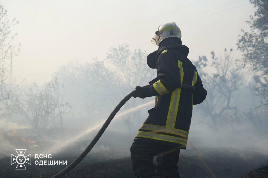Вогнеборці декілька годин гасили масштабну пожежу в екосистемі під Одесою