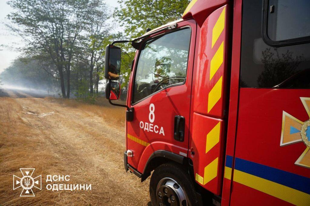 Вогнеборці декілька годин гасили масштабну пожежу в екосистемі під Одесою