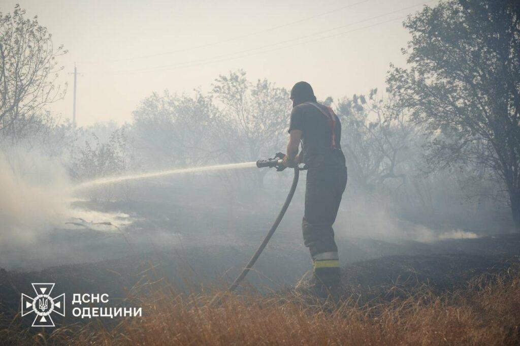 Вогнеборці декілька годин гасили масштабну пожежу в екосистемі під Одесою