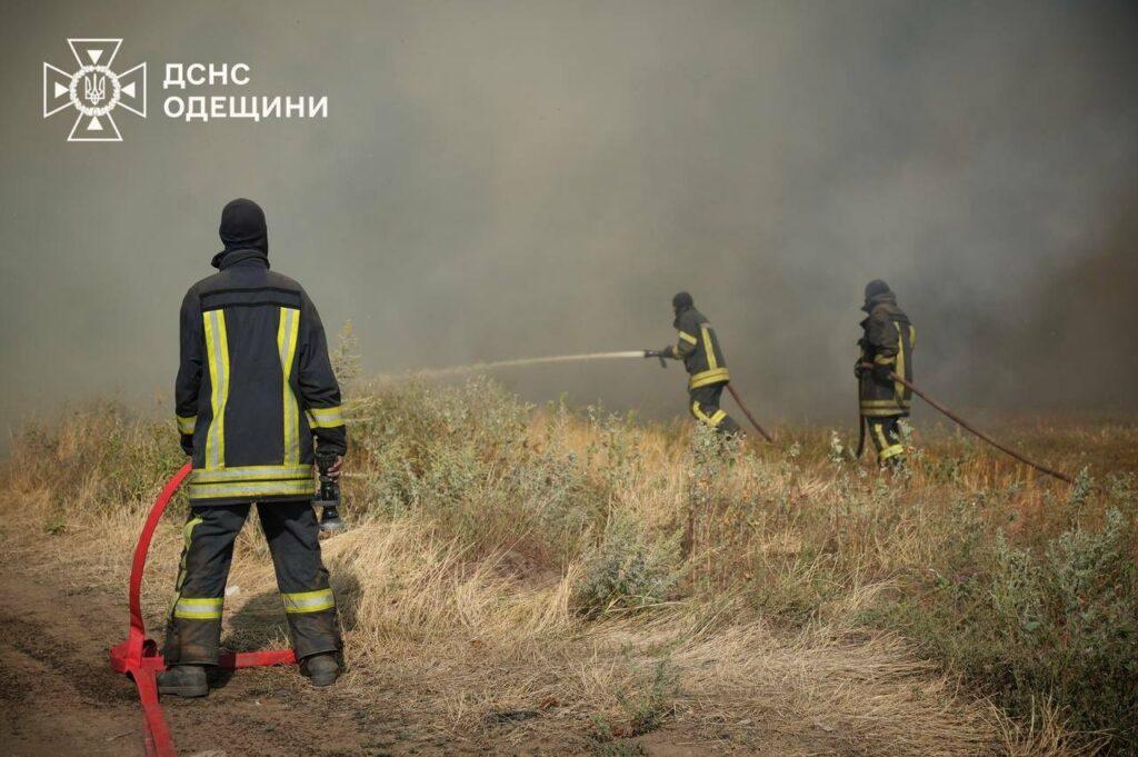 Вогнеборці декілька годин гасили масштабну пожежу в екосистемі під Одесою