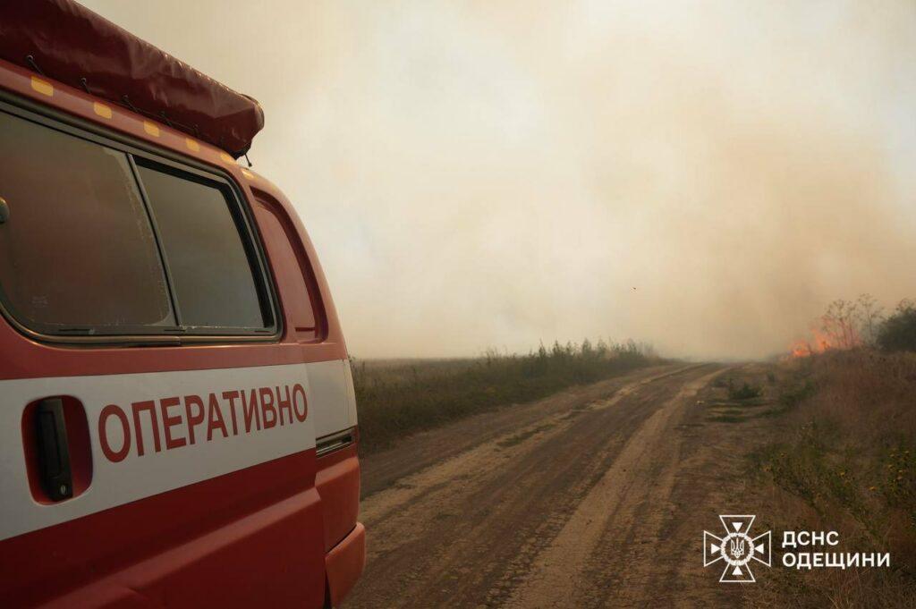 Вогнеборці декілька годин гасили масштабну пожежу в екосистемі під Одесою
