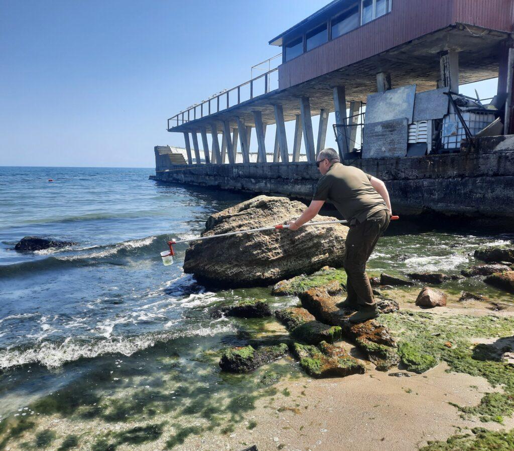 Море стало зеленим від водоростей: екологи досліджують морську воду в Одесі