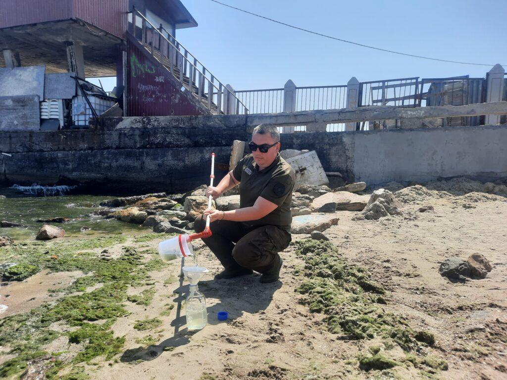 Море стало зеленим від водоростей: екологи досліджують морську воду в Одесі