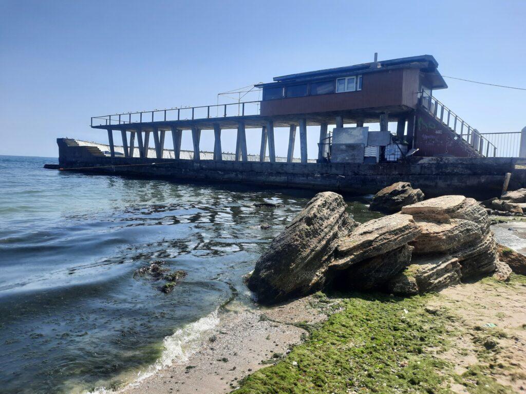 Море стало зеленим від водоростей: екологи досліджують морську воду в Одесі
