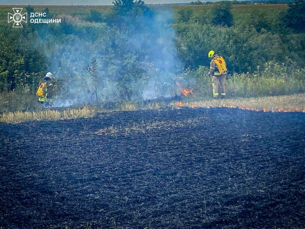 Пожежі на Одещині завдали екології збитків на 28 мільярдів гривень
