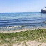 «Цветение» моря в Одессе: вода нуждается в дополнительных исследованиях