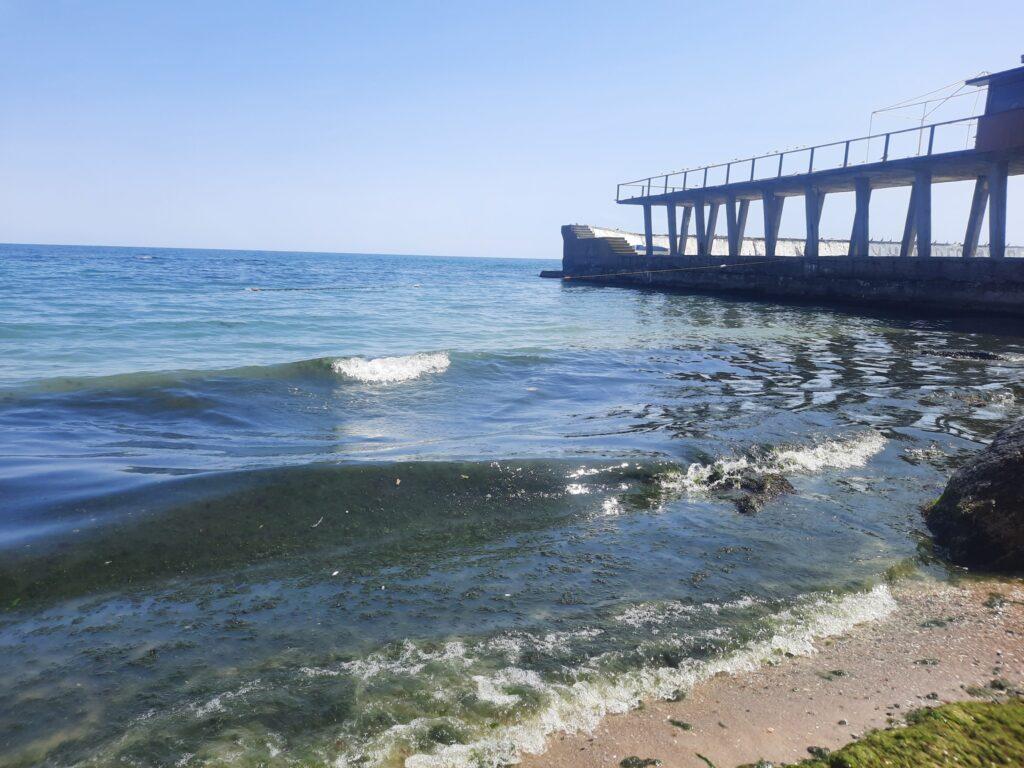 «Цветение» моря в Одессе: вода нуждается в дополнительных исследованиях